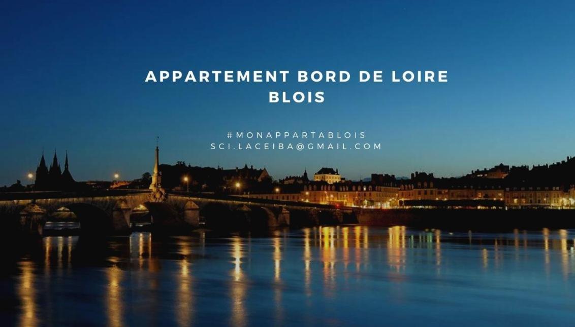 Апартаменты Duplex 60 M2 Bord De Loire Блуа Экстерьер фото