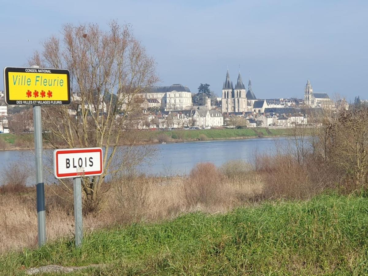 Апартаменты Duplex 60 M2 Bord De Loire Блуа Экстерьер фото